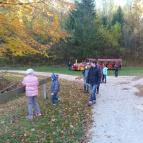 Forrás Vendégház Bakonyjákó - Környék