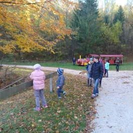 Forrás Vendégház Bakonyjákó - Környék