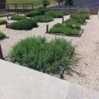 Pannonhalmi Főapátság Arborétuma és Gyógynövénykertje Pannonhalma - Külső kép