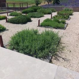 Pannonhalmi Főapátság Arborétuma és Gyógynövénykertje Pannonhalma - Külső kép