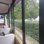 Pannonhalmi Levendulanapok Pannonhalma - Egyéb