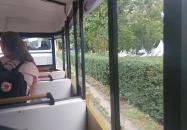 Pannonhalmi Levendulanapok Pannonhalma Pannonhalmi Levendulanapok Pannonhalma