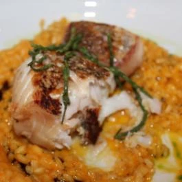 bEAT, Székesfehérvár - Étel/ital