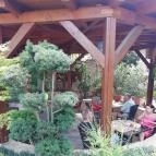 Diófa Vendéglő Székesfehérvár - Külső kép