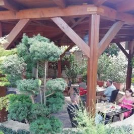 Diófa Vendéglő, Székesfehérvár - Külső kép