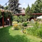 Diófa Vendéglő Székesfehérvár - Külső kép