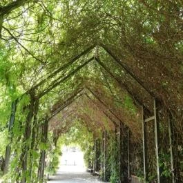 Hajósi Barokk Kastély, Hajós - 