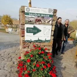 Salföldi Major, Salföld - 