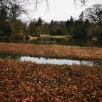 Vácrátóti Arborétum Vácrátót - Egyéb