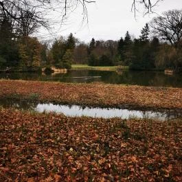 Vácrátóti Arborétum , Vácrátót - Egyéb