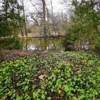 Vácrátóti Arborétum Vácrátót - Egyéb