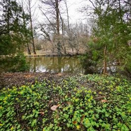 Vácrátóti Arborétum , Vácrátót - Egyéb