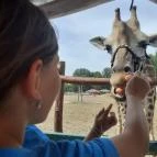 Richter Safari Park Nagykőrös - Egyéb