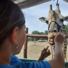 Richter Safari Park Nagykőrös - Egyéb