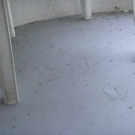 Hotel Ezüstpart, Siófok - Egyéb