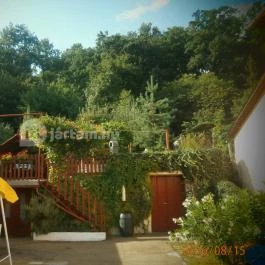 Virágos Vendégház Noszvaj - Medence/kert