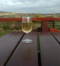 Vilmos Pince - Williams Weinstube 