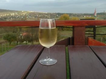 Vilmos Pince - Williams Weinstube Hévíz