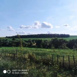 Erdősmecskei Vendégházak, Erdősmecske - Egyéb