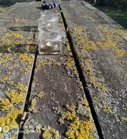 Erdősmecskei Vendégházak