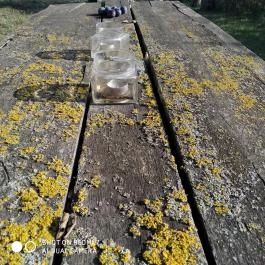 Erdősmecskei Vendégházak, Erdősmecske - Egyéb