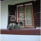 Zengőlak Vendégház Hosszúhetény - Egyéb