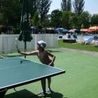 Danubius Hotel Annabella Balatonfüred - Medence/kert