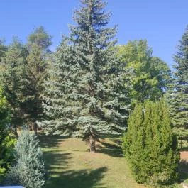 Tündérkert Hotel Noszvaj - Egyéb