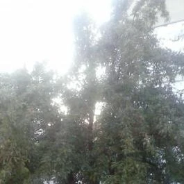 Hotel Bella , Szeged - Környék