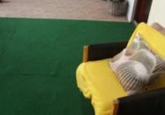 Várkert Apartman Gyula