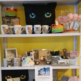 Cat Museum Budapest Budapest - Egyéb