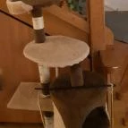 Cat Museum Budapest Budapest - Egyéb