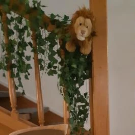 Cat Museum Budapest Budapest - Egyéb