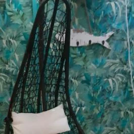 Cat Museum Budapest Budapest - Egyéb