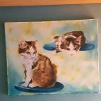 Cat Museum Budapest Budapest - Egyéb