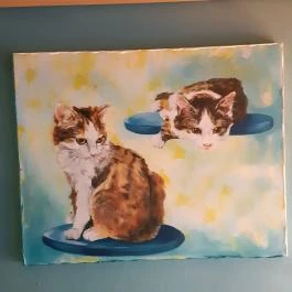 Cat Museum Budapest Budapest - Egyéb