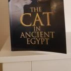 Cat Museum Budapest Budapest - Egyéb