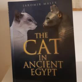 Cat Museum Budapest Budapest - Egyéb