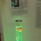 Cat Museum Budapest Budapest - Egyéb