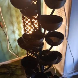 Cat Museum Budapest Budapest - Egyéb