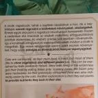 Cat Museum Budapest Budapest - Egyéb