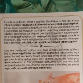 Cat Museum Budapest Budapest - Egyéb