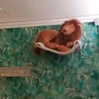 Cat Museum Budapest Budapest - Egyéb