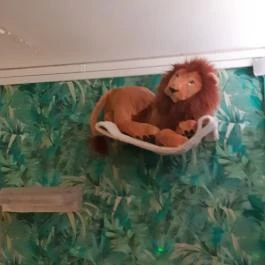 Cat Museum Budapest Budapest - Egyéb