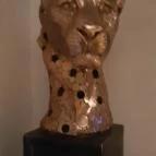 Cat Museum Budapest Budapest - Egyéb