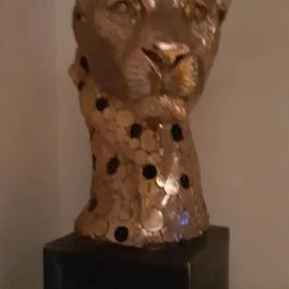 Cat Museum Budapest Budapest - Egyéb