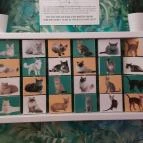 Cat Museum Budapest Budapest - Egyéb