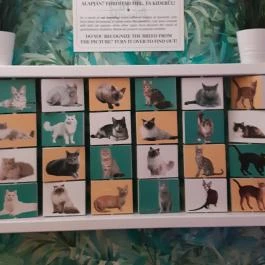 Cat Museum Budapest Budapest - Egyéb