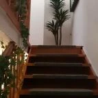 Cat Museum Budapest Budapest - Egyéb