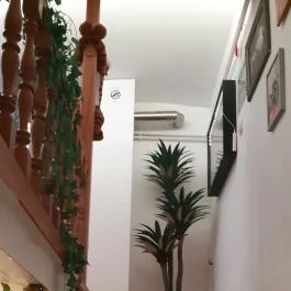 Cat Museum Budapest Budapest - Egyéb